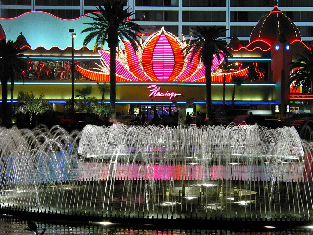 flamingo.JPG.8602fb01732b8bd0d4d0146b74ca1cb6.JPG