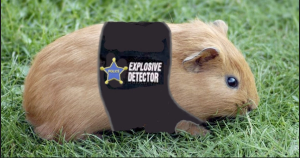 image.png.05709ce53ef495beb07470952d3c5054.png