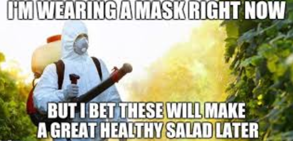 image.png.86d089890caf8eb0130d77fa6dc23e3d.png
