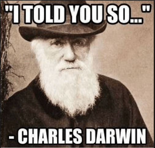 image.png.986002a00fd0474355571f7647a71755.png