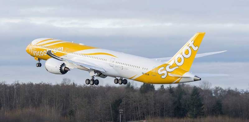 scoot.jpg