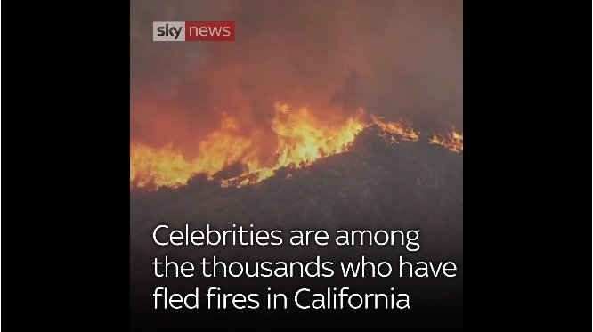 sfsdefs.jpg