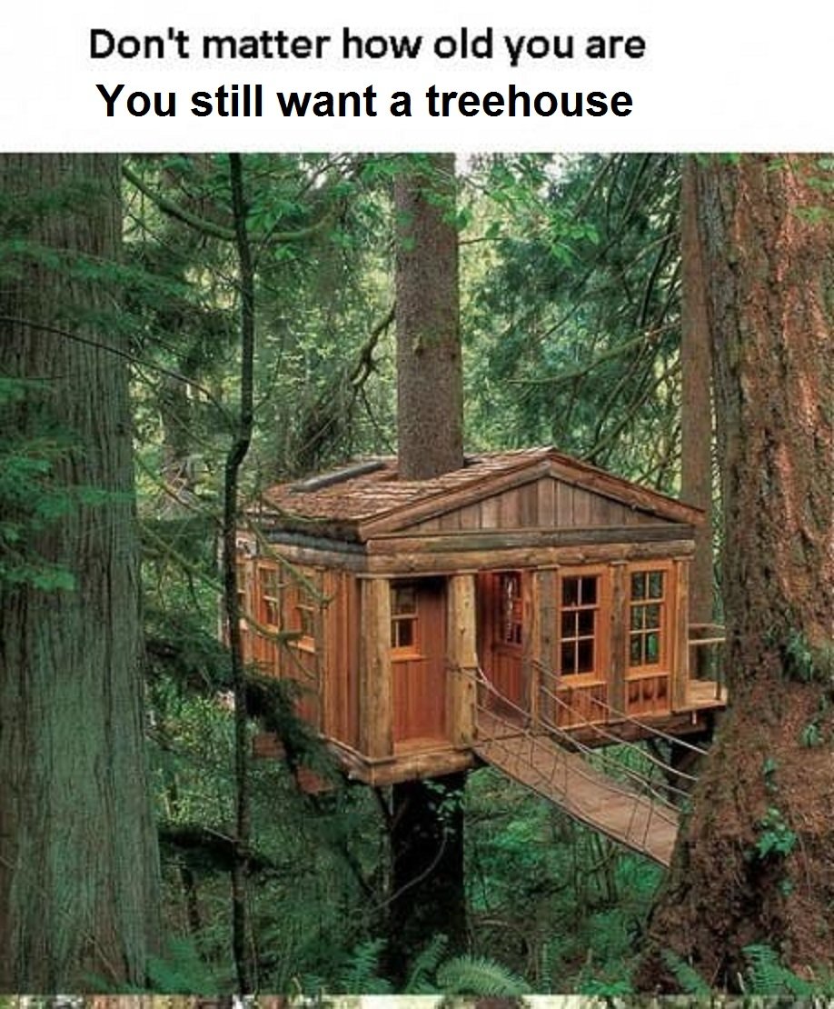 tree-houses.jpg.f5453cebd5c3382ff65a91f4802e43d0.jpg