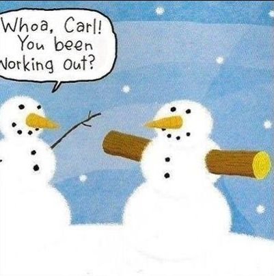 1278116132_fitsnowman.jpg.069a3f22a7416c49b5849f8d0f34a0b6.jpg