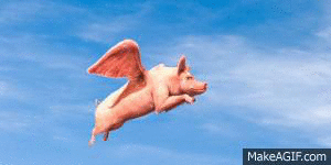 1381376835_FlyPig.gif.66556b6c63857c09e58f8fdecd7be3c4.gif