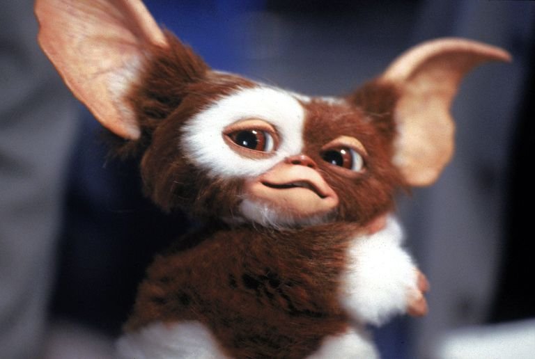 1502874401-gizmo.jpg
