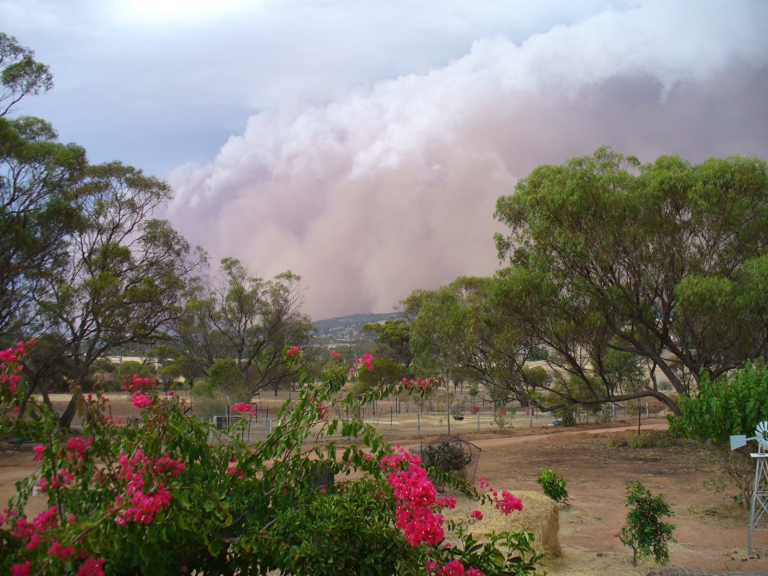 1540152749_duststormcoming2011.thumb.jpg.51bbe5de480b3c23316eaf0db042f9c3.jpg