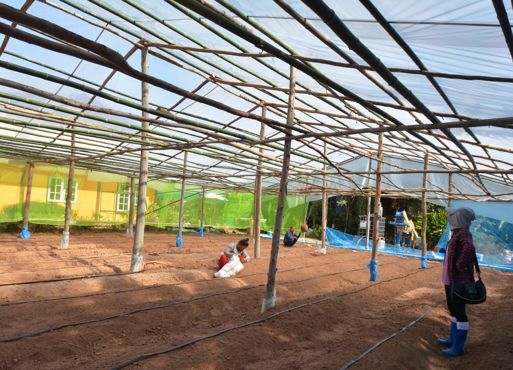 green house.JPG