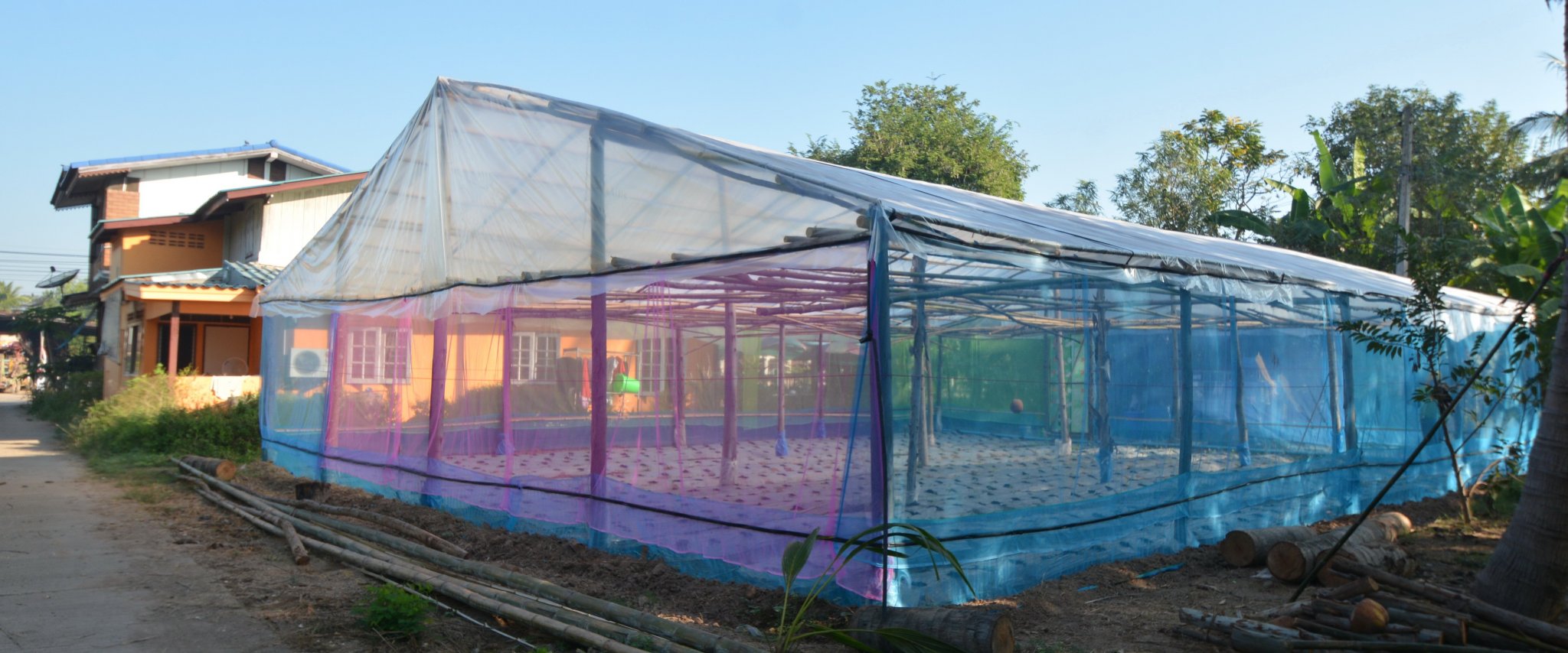 green house2.JPG