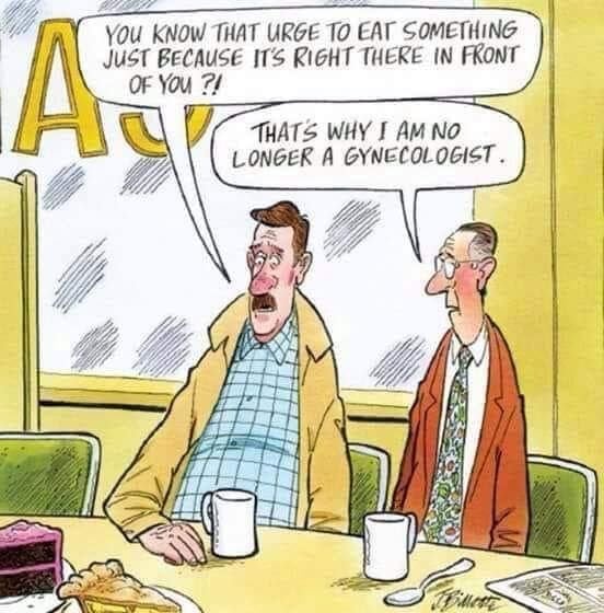 1791729252_eatinggynacologist.jpg.a1b429bbbbad4f4ee94ac1d45e92d6e4.jpg