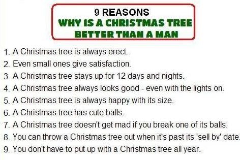 655096336_xmastree.jpg.6a04e245d84ead2bb627704613ee85a7.jpg