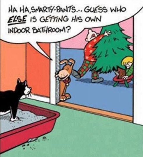 760037727_Indoor-bathroomxmas.jpg.9230f2cb81e6a652759ba08c99e1123a.jpg