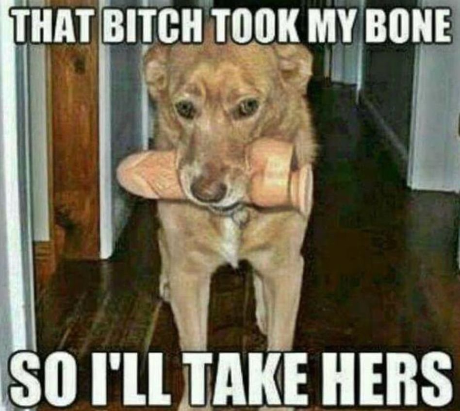 977959629_dogbonedildo.jpg.e101ae708843e7fe484106e6239e9e4c.jpg