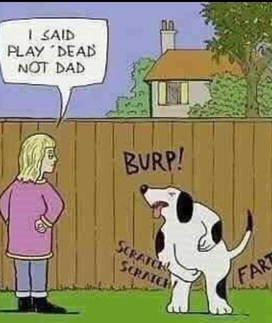 980343716_dogdad.jpg.950f74c45fc27578fd889c30baf3c9c7.jpg