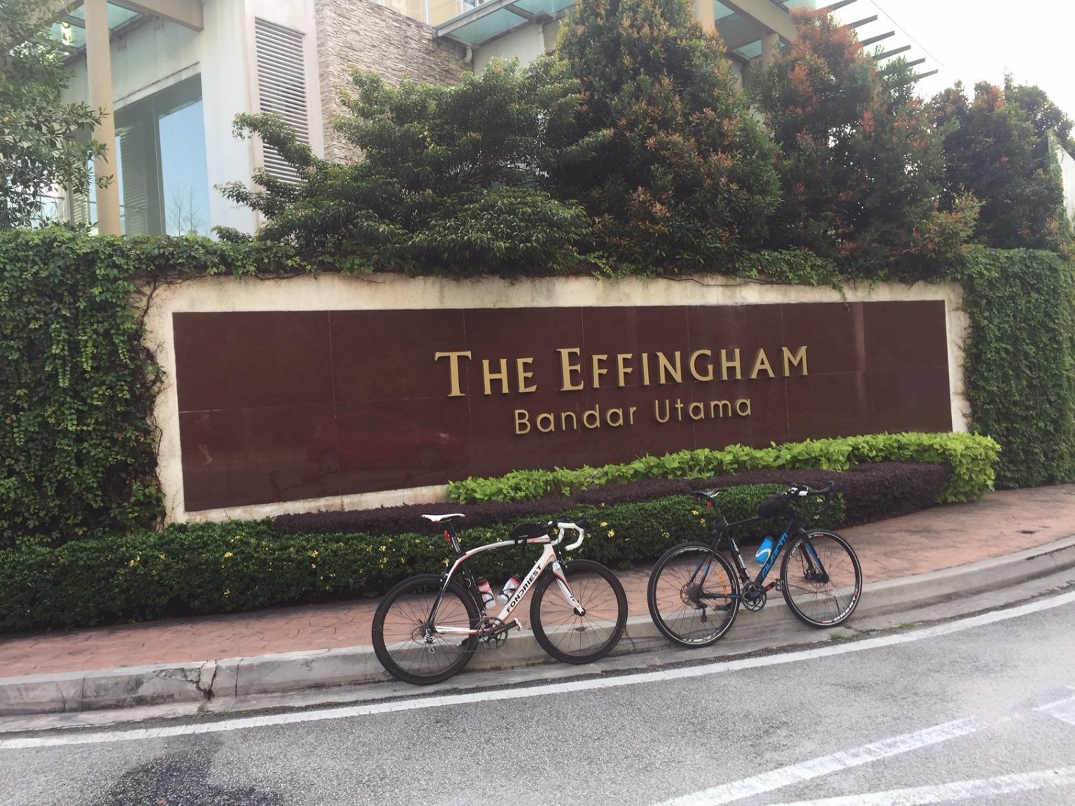 Effingham, close to Effingreadyforbreakfast