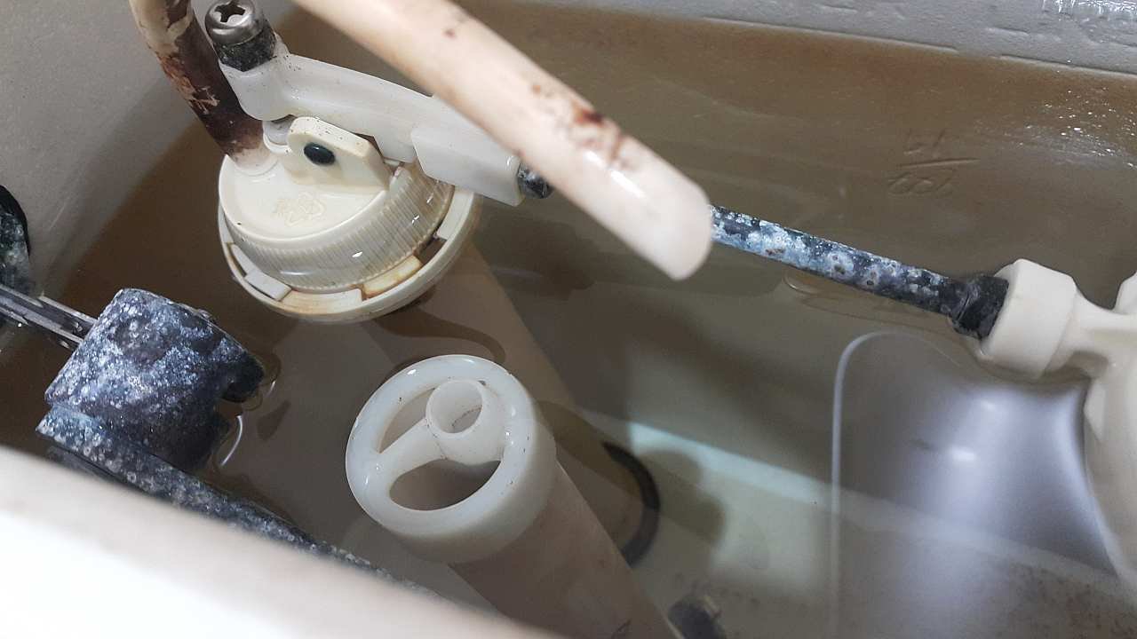 New_toilet.jpg.ac2a20615207363b77e9c971ede0d30c.jpg