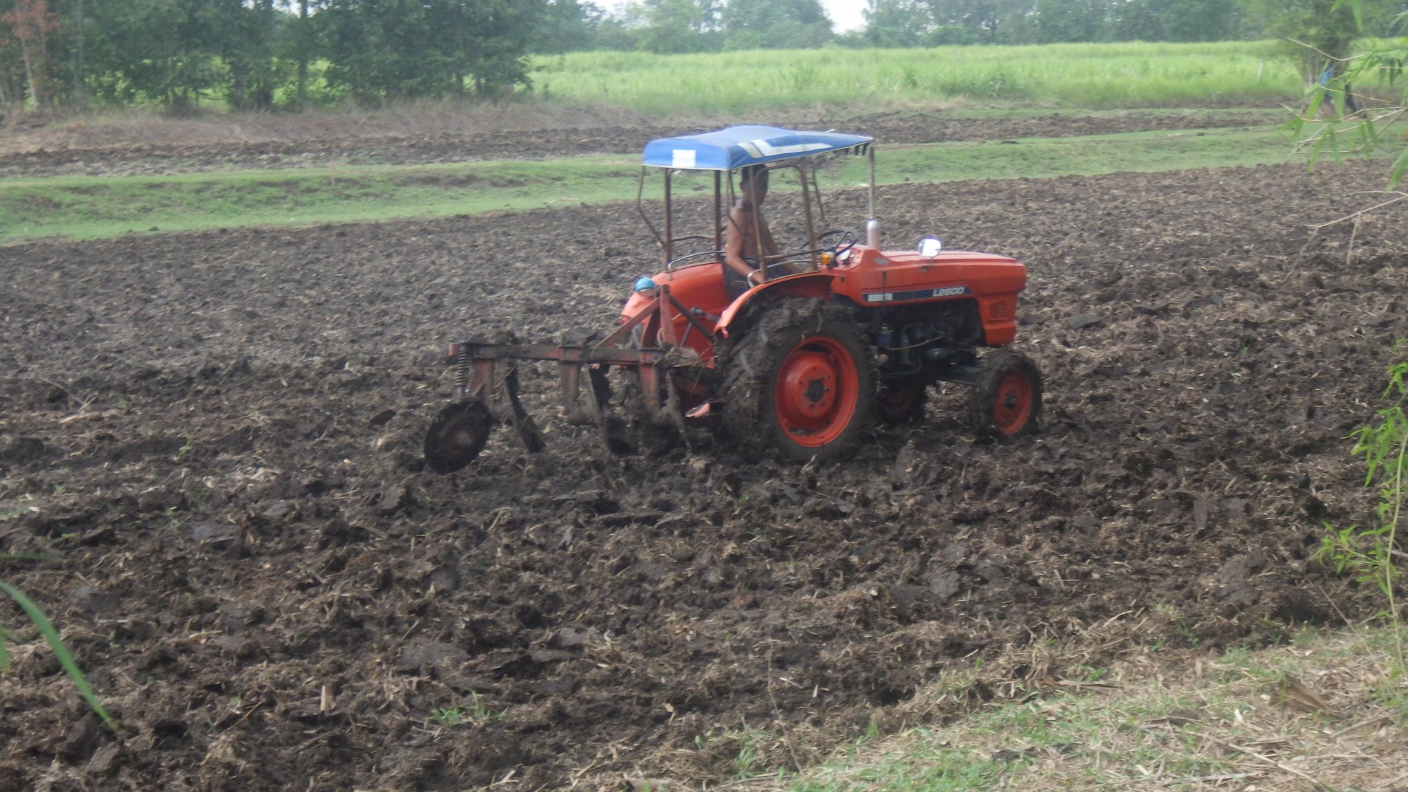 RIMG0610.JPG