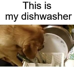 dishwasher.jpg.5fb8b4b58b3060e8ba6b8a4bc52f2f8e.jpg