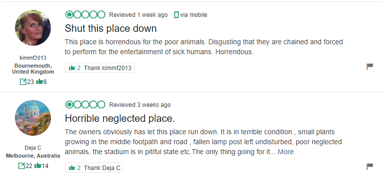 trip-advisor.png