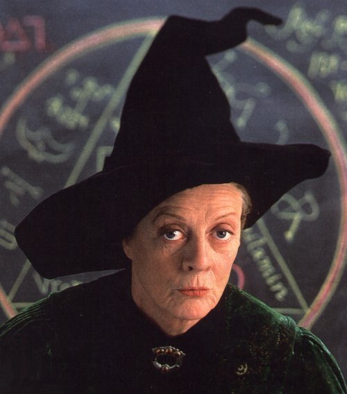 witch.jpg.f026e3e7adccc713eafa720615aab6bd.jpg