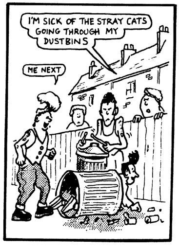 1592762144_straycats.jpg.32928fbd5fa8d6108bc4cd3c0d3a6477.jpg