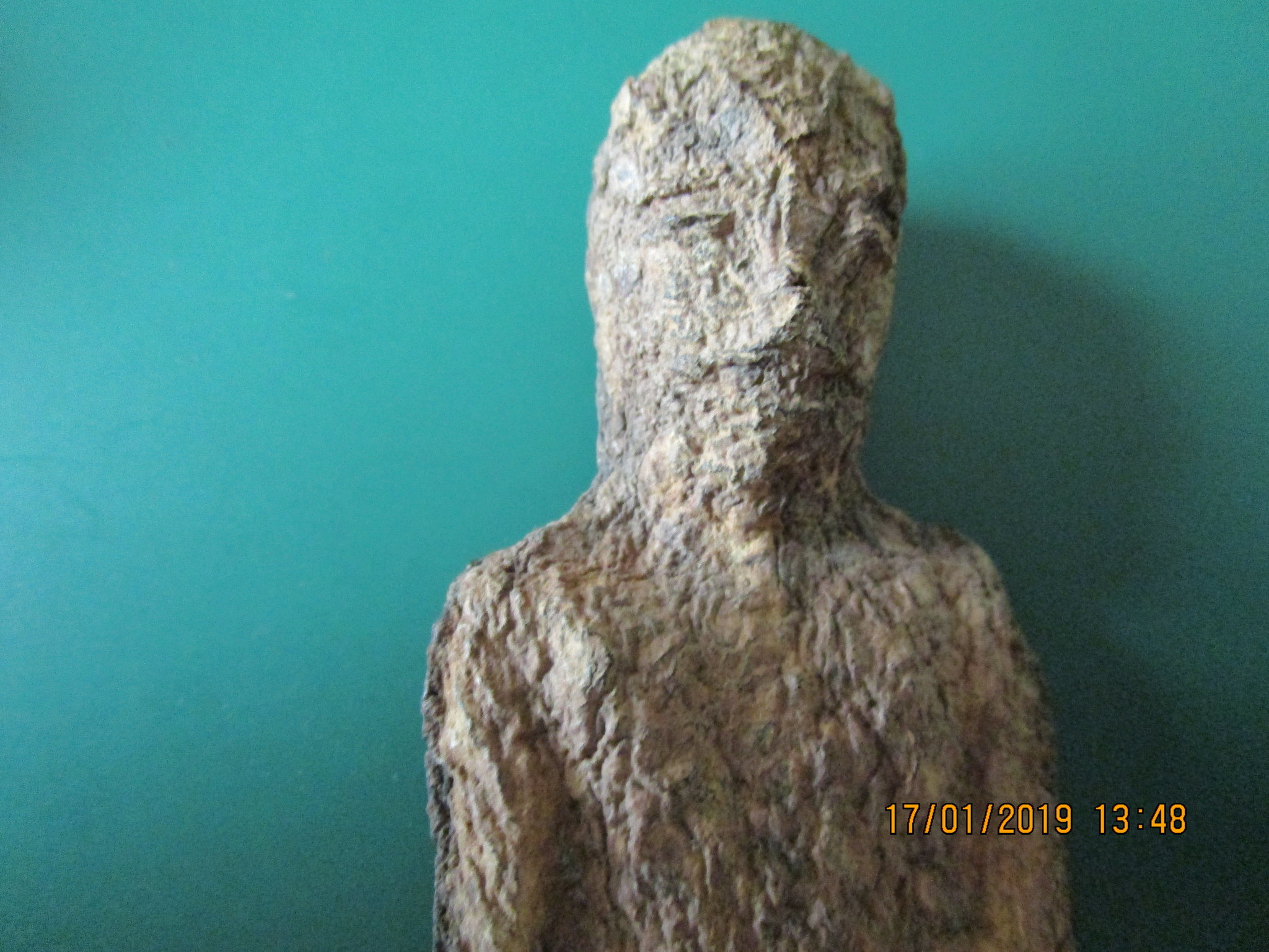 facial features.JPG