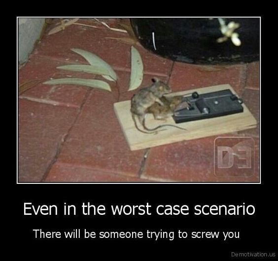 1683662108_mousetrap.jpg.a3e9cc60d442e592de7f1993c737cd32.jpg