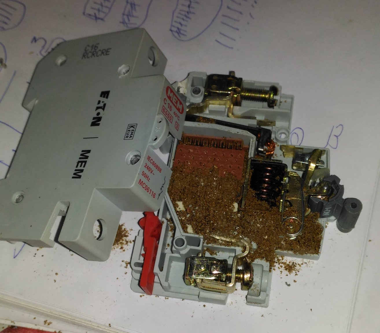 1901658665_ants2.thumb.jpg.2d97aed8e06e605081ab0d43d65f51f7.jpg