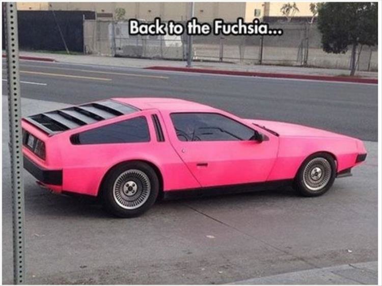 385086895_backtothefuchsia.jpg.a3086fa2646ae58f945d4aaf35ea982e.jpg
