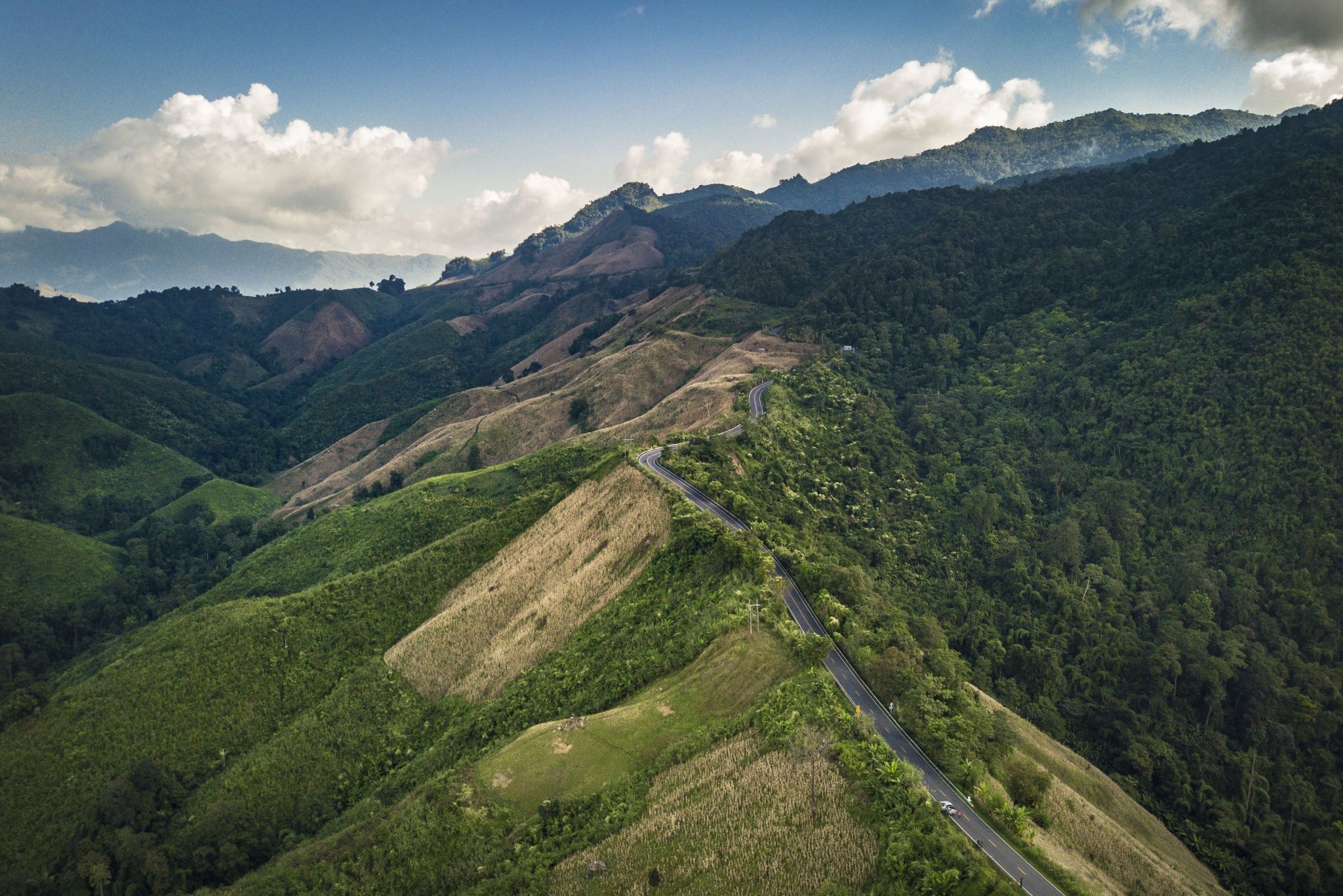 DJI_0010.jpg