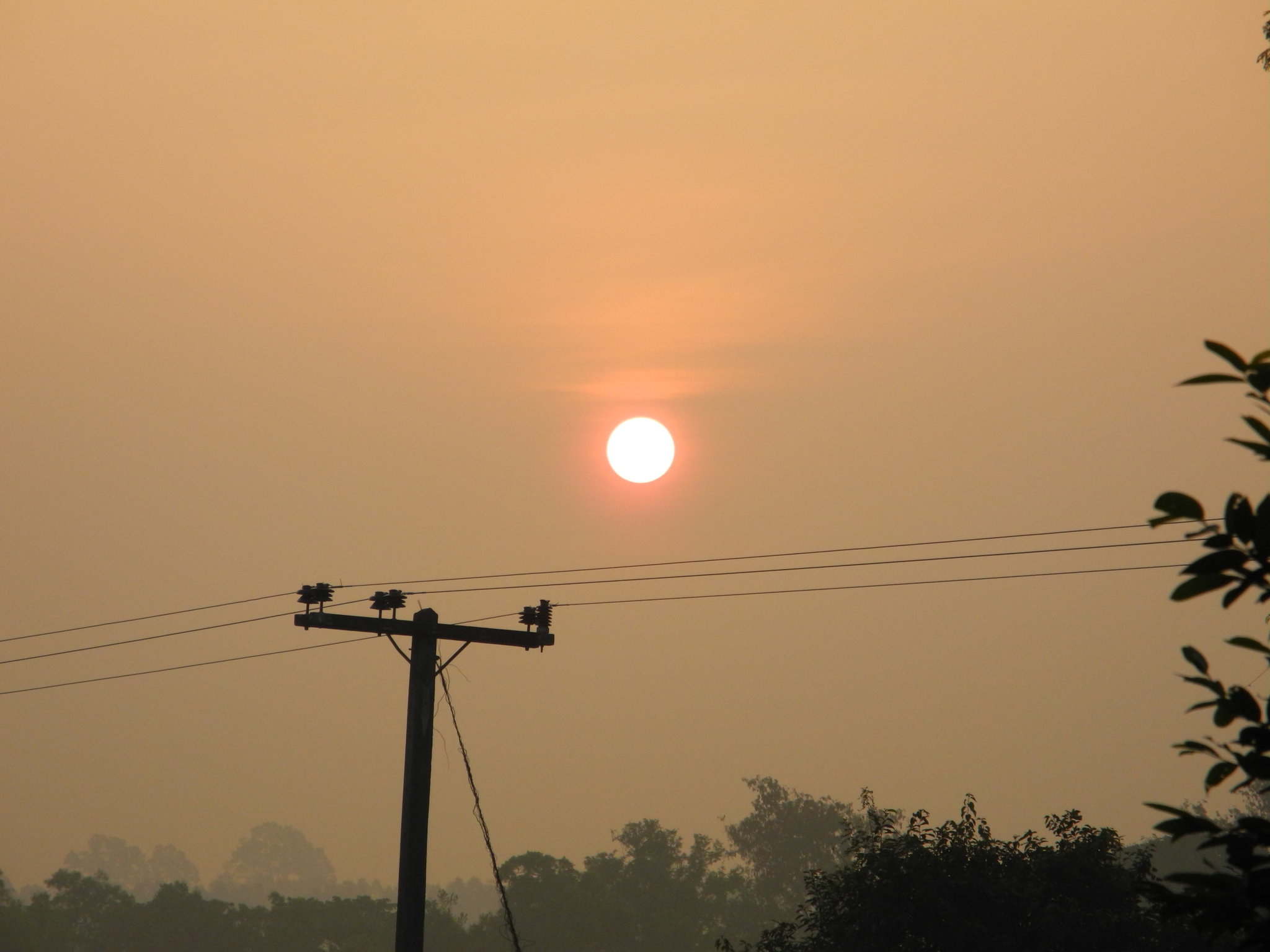 DSCN0050.JPG