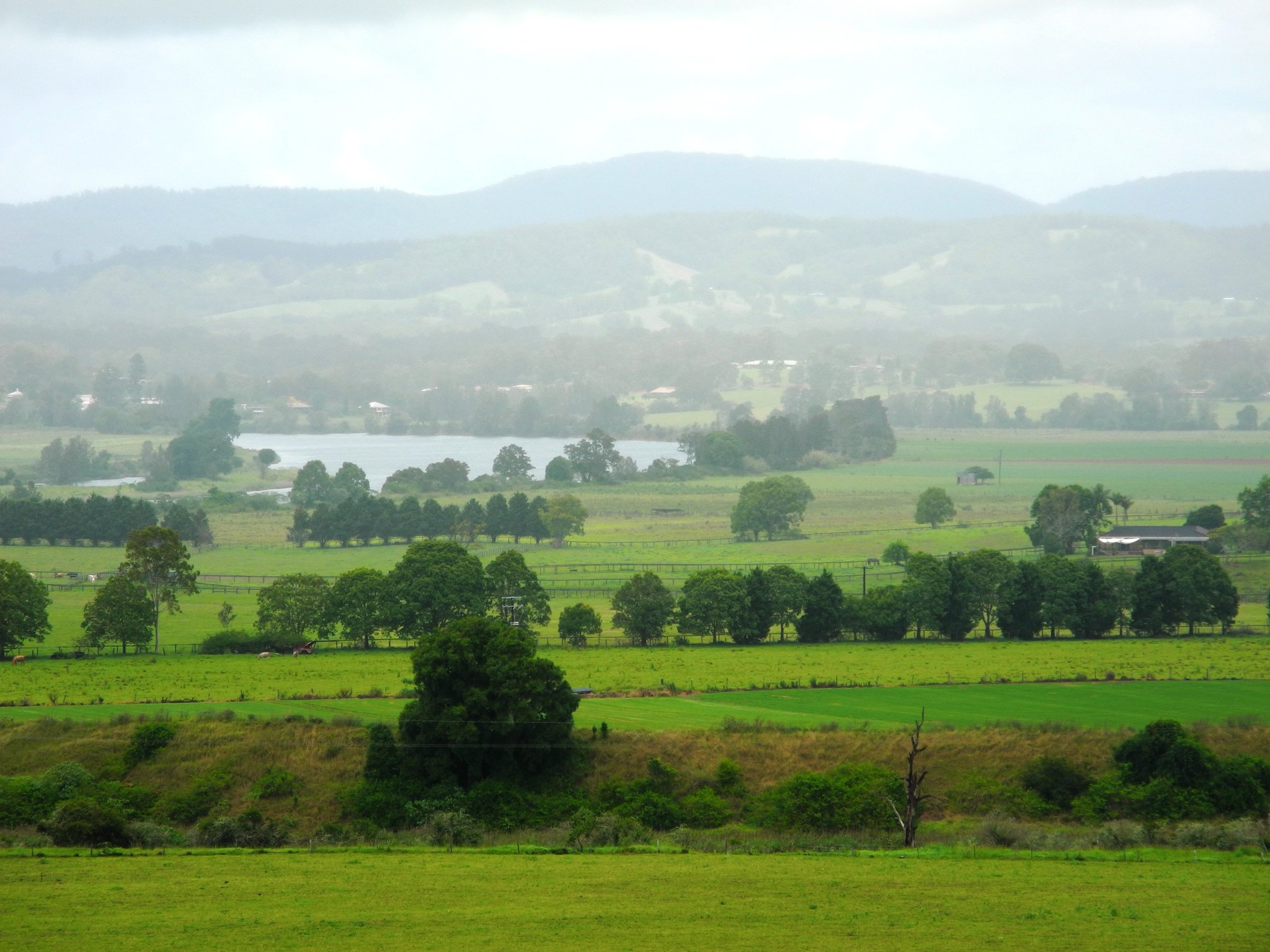 DSCN0466.JPG