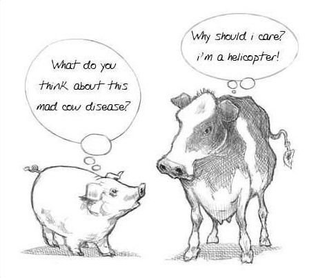 Mad-cow-disease.jpg.e43e342bc89b2305b11e2b378cfcccef.jpg