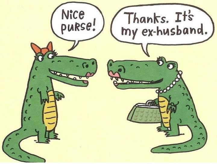 My-ex-husband-cartoon.jpg.04010dc69fc413b9db8f2ebe2d930364.jpg