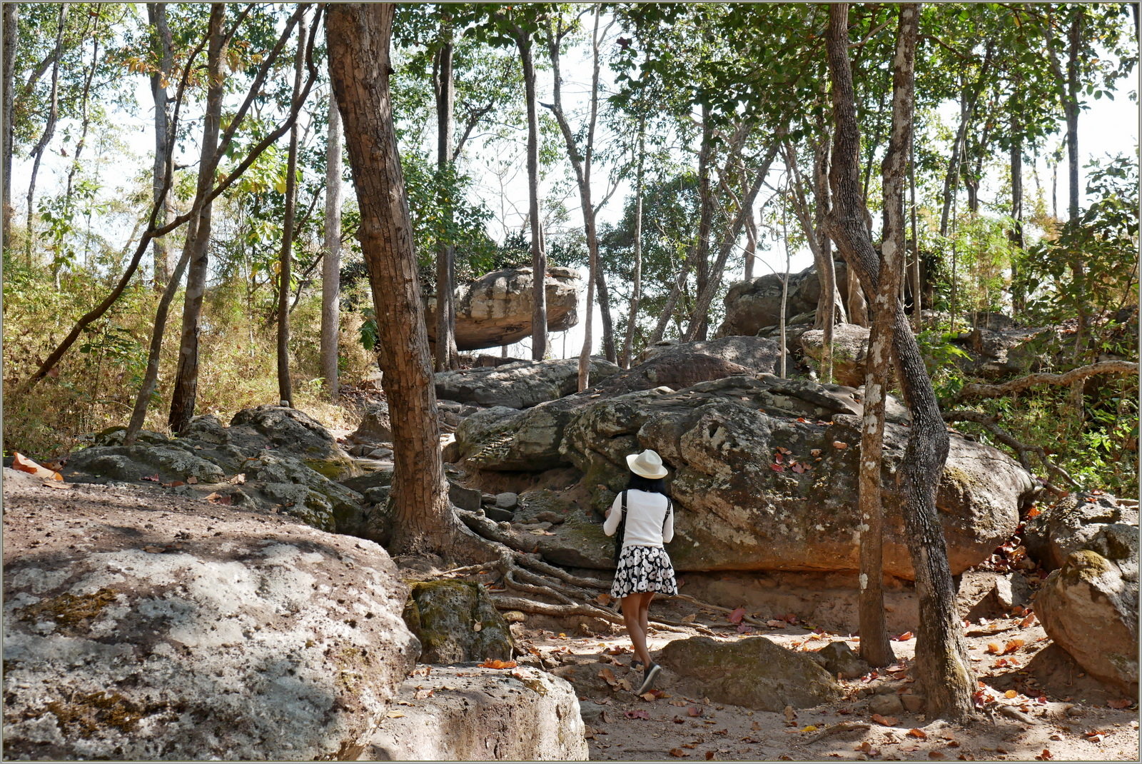 P1060767_Phu_Phrabat_historical_park.JPG.fb42622da22e1128e78ce0b5369e3513.JPG