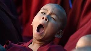 Yawn.jpg.3851b9fb3d8a75be5c5f9e01aeff376d.jpg
