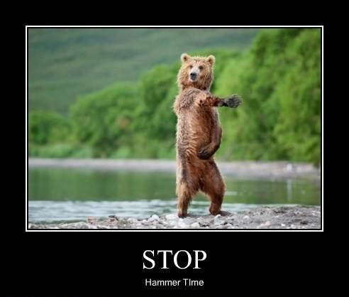 bear-hammer-time-e1344950983604.jpg.cea6becdba52eed74de39a2c725f91f7.jpg