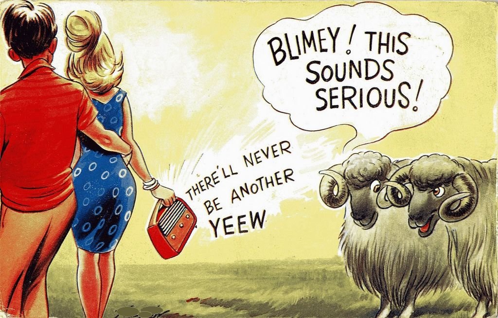 sheep.jpg.b5e77c99207d47d6a764b5a2ee4bc548.jpg