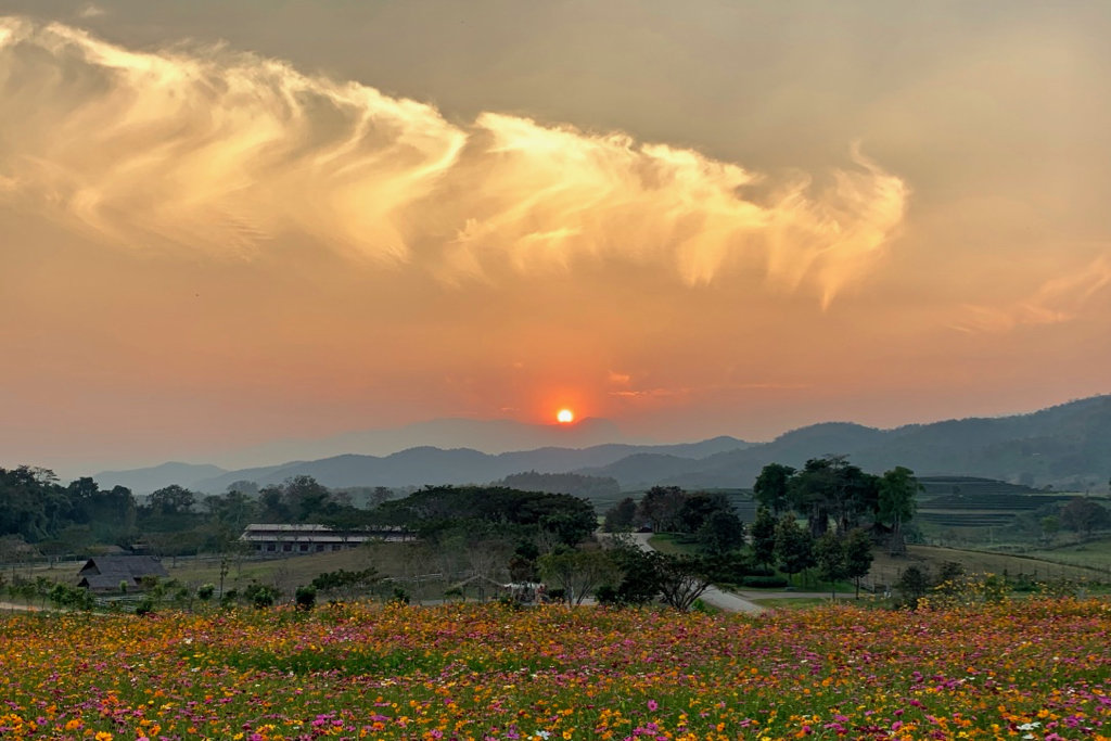 1018757451_SinghaPark2019-10.jpg.017b8de682c5e90050e505f3bd179838.jpg
