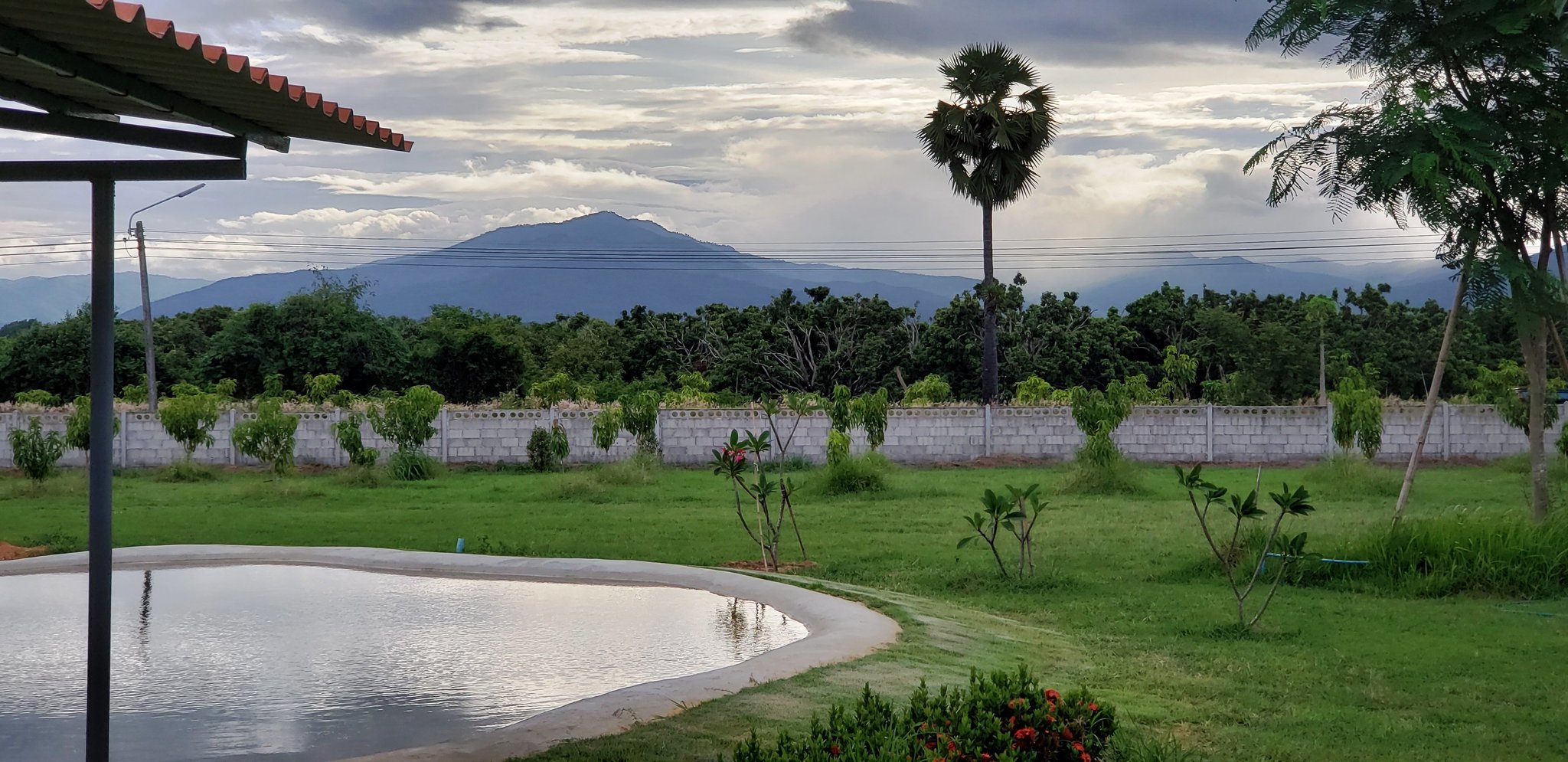 20180622_173621 (1).jpg