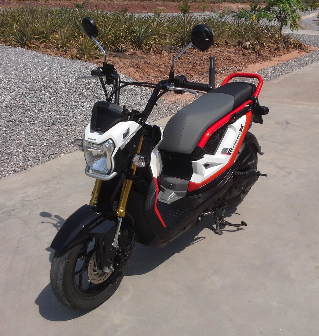 Zoomer (2).jpg