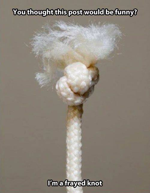 1744810910_frayedknot.png.c69cb5ea3f3dc49a4b2791edffd0e92c.png