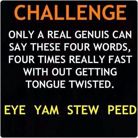 1796216865_eyeamstupid.jpg.6c56d3cafa06d54f4c5167c10e5db166.jpg