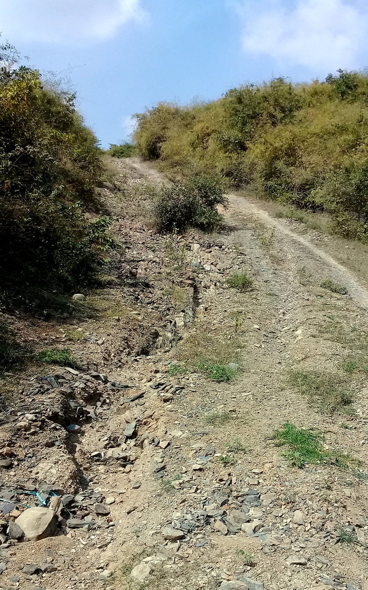20190109_124753.jpg