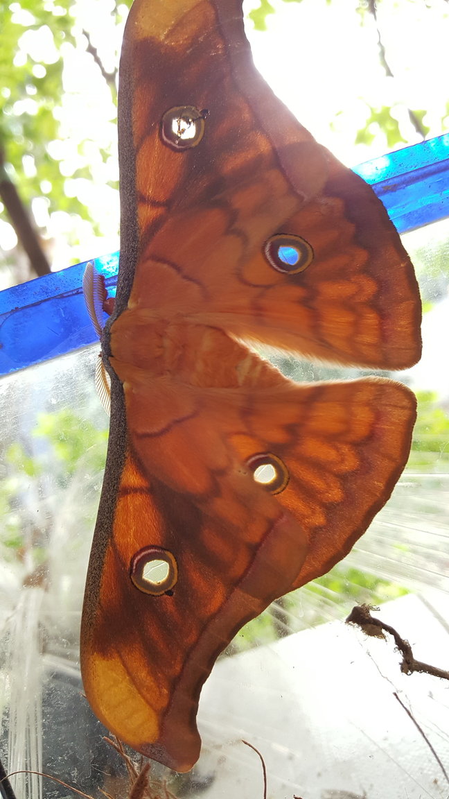 20190215_172649.jpg