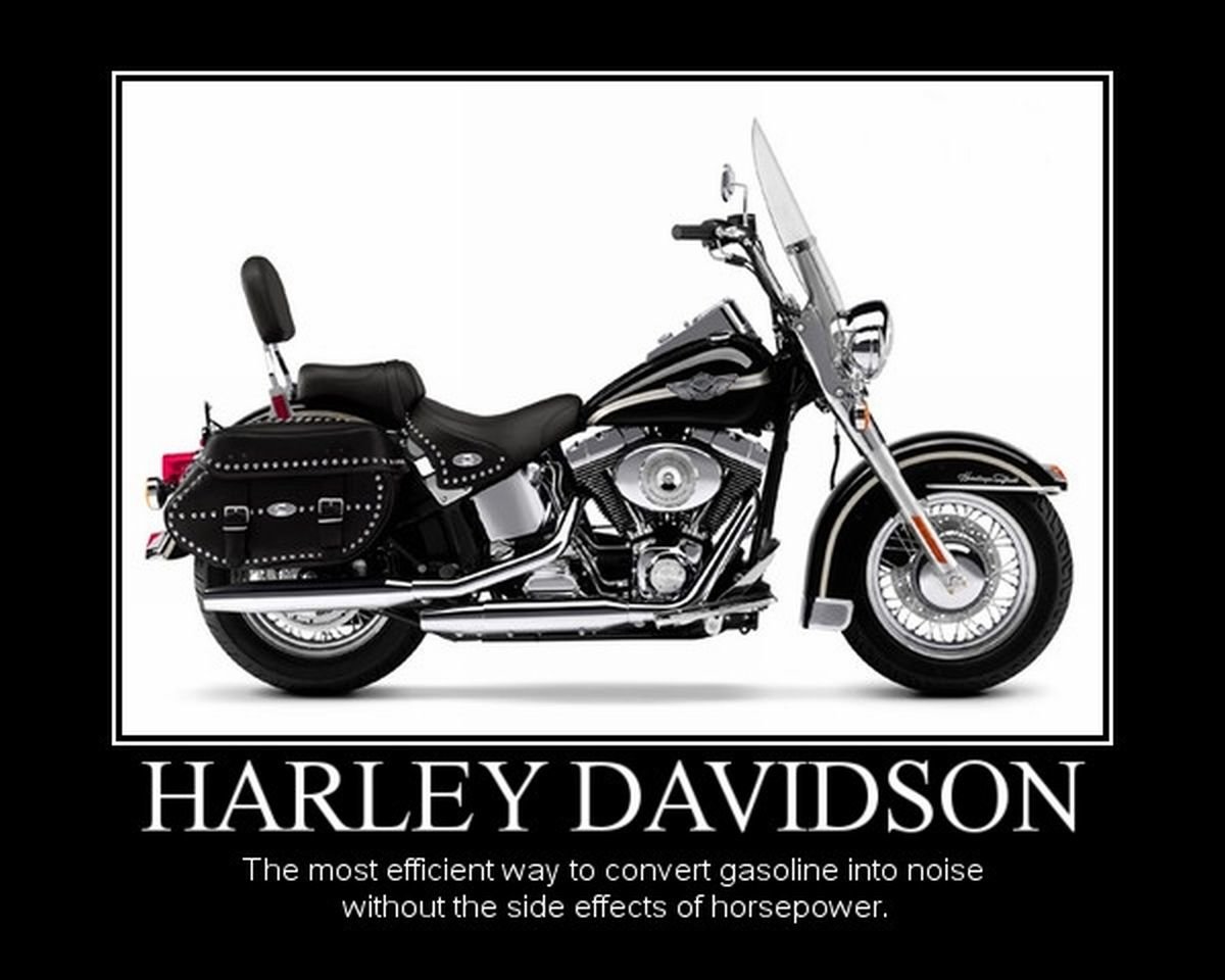 2123899343_10-HarleyDavidson.jpeg.f0a2c7c039da2bc17acc8ba5fd1b7bd8.jpeg