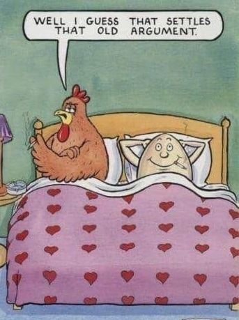 729447456_chickenegg.jpg.3e99c41bb6a93dd650f5afbdbf98a0db.jpg