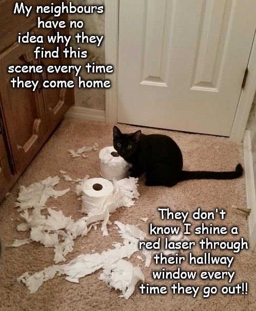948531650_catspointer.jpg.04f96dc849b9d51d4654420d6d02a7c9.jpg