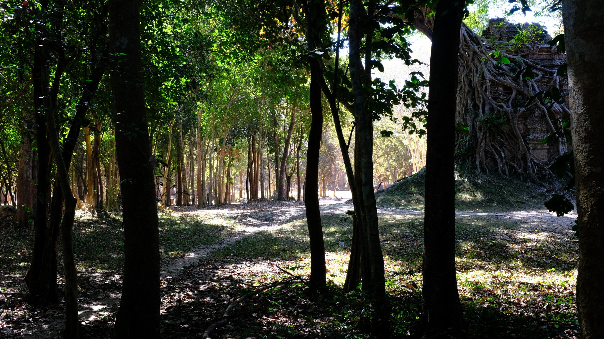 DSCF2638.JPG