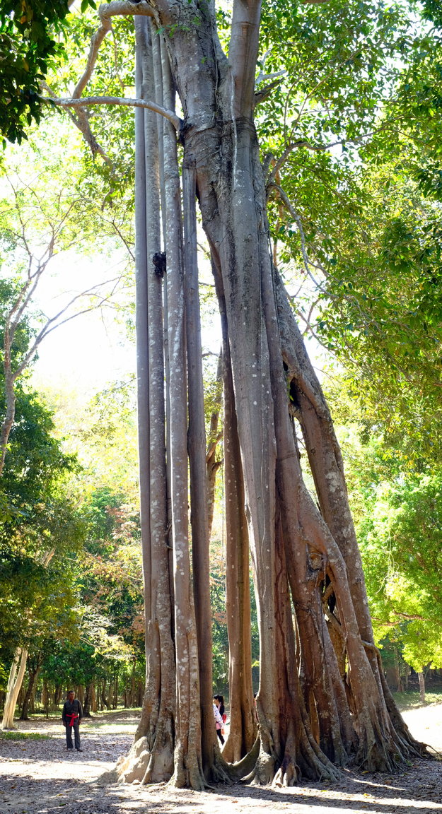 DSCF2674.JPG
